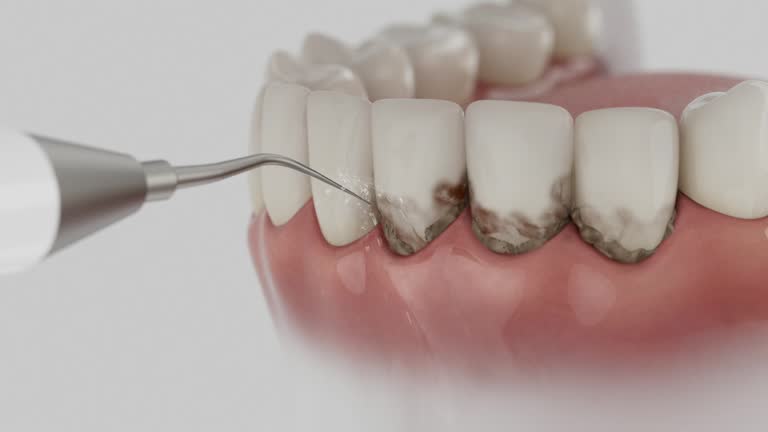 Reliable Dental contractor in Niles, MI by Dentist Open Now
